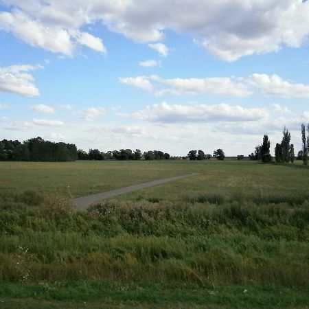 Alles Paletti Mit Klimaanlage Apartamento Wittenberg Exterior foto