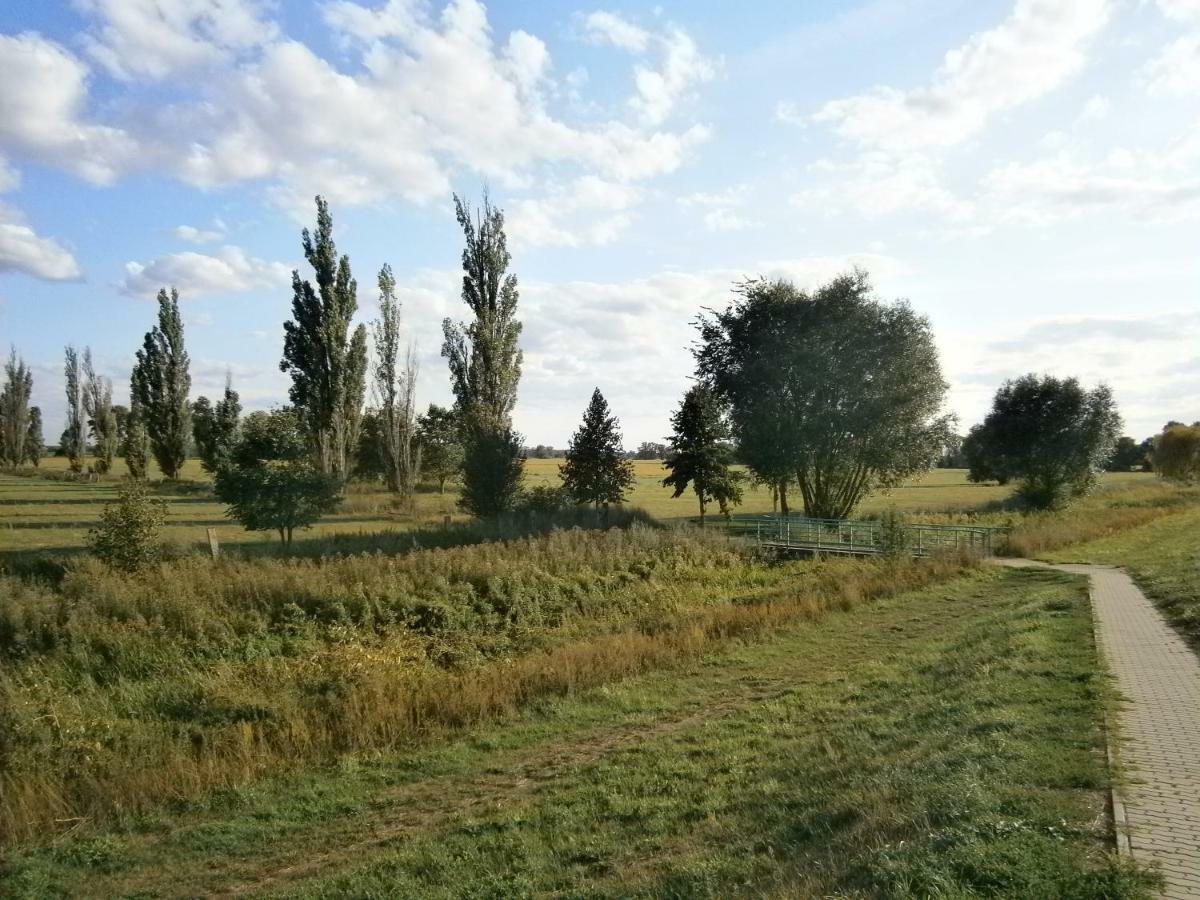 Alles Paletti Mit Klimaanlage Apartamento Wittenberg Exterior foto
